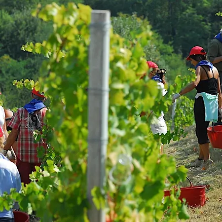 La Rossa Κατάλυμα σε φάρμα *