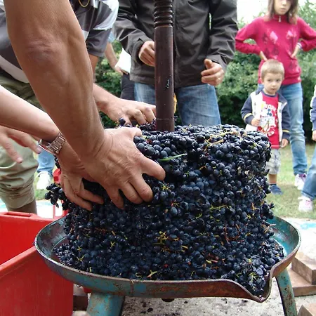 La Rossa 农家乐 Morsasco