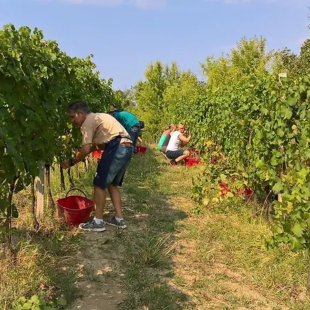 Agriturismo La Rossa Prasco