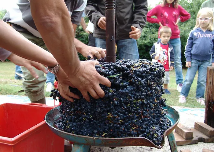 La Rossa Farmház Morsasco